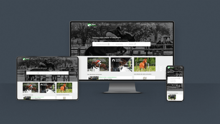 Plateforme équestre Cheval Référence